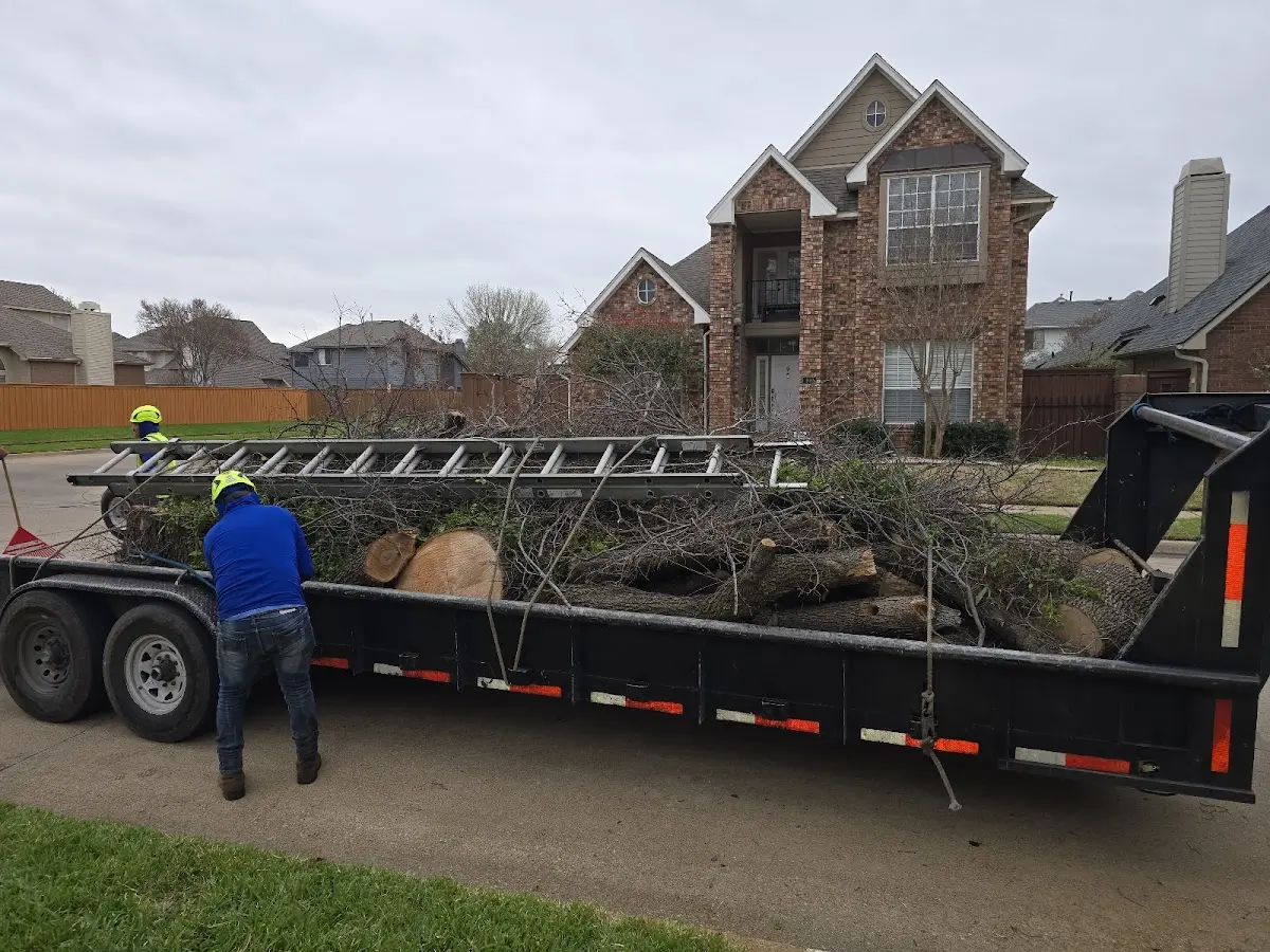 Expert Lot Clearing with proper safety equipment in Clear Creek